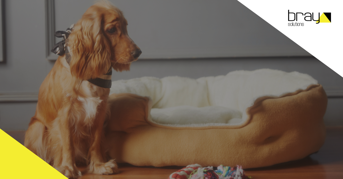 pet care fulfilment